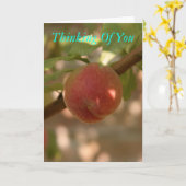 お考える前の カード (黄色い花)