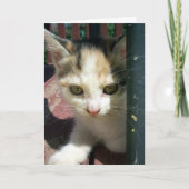 お考える前の カード (正面)