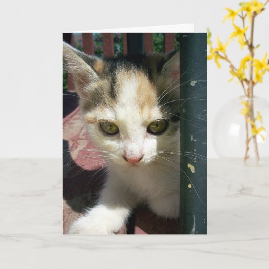 お考える前の カード (黄色い花)