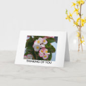 お考える前の カード (黄色い花)