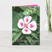 お考える前の カード (正面)