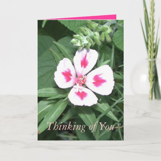 お考える前の カード (正面)