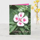 お考える前の カード (黄色い花)