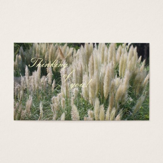 お考える前の！メッセージカード (正面)