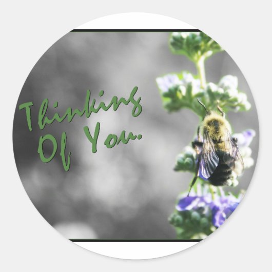 お考える前の！ ラウンドシール (正面)