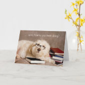 お考える前の…眼鏡の中の勉強読好きな犬 カード (黄色い花)