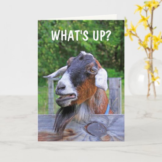 お考える前は カード (黄色い花)