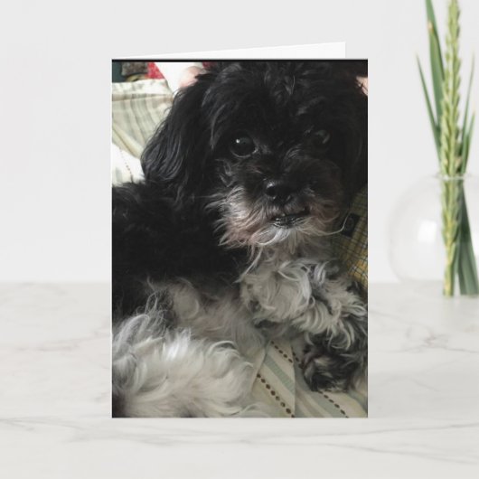 「お考える前を愛してるんだ！」ラブカード シーズンカード (正面)