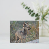 お考える客様のはがき ポストカード (スタンド正面)