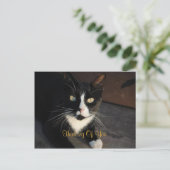 お考える客様のはがき ポストカード (スタンド正面)