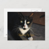 お考える客様のはがき ポストカード (正面/裏面)