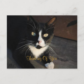 お考える客様のはがき ポストカード