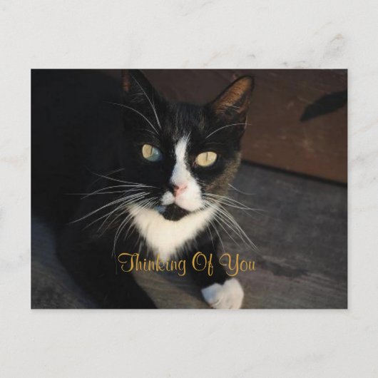 お考える客様のはがき ポストカード (正面)