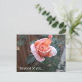 お考える客様のはがき ポストカード (スタンド正面)