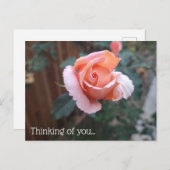 お考える客様のはがき ポストカード (正面/裏面)