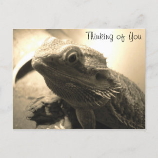 お考える客様のはがき ポストカード