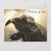 お考える客様のはがき ポストカード (正面)