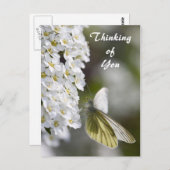 お考える客様のはがき ポストカード (正面/裏面)