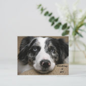 お考える客様のはがき ポストカード (スタンド正面)