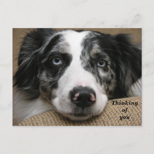 お考える客様のはがき ポストカード (正面)