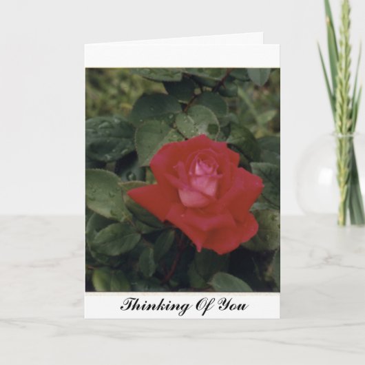 お考える気に入りカスタマイズ- カード (正面)