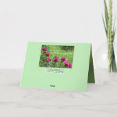 お考える願いします
 ....グリーティングカード サンキューカード (裏面)