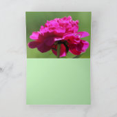 お考える願いします
 ....グリーティングカード サンキューカード (内部)