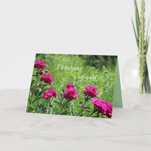 お考える願いします
 ....グリーティングカード サンキューカード (正面)