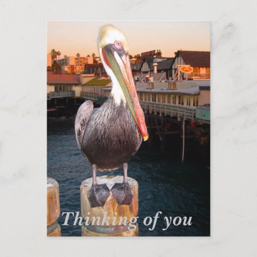 お考え使いのポストカード_葉書 ポストカード (正面)