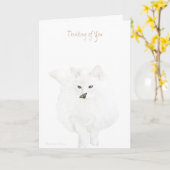お考え前かわいい白猫 カード (黄色い花)