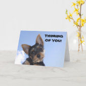 お考え前だ！ カード (黄色い花)