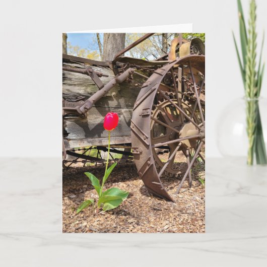 お考え前の古いワゴンと赤いチューリップ カード (正面)
