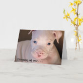 お考え前の.... カード (黄色い花)