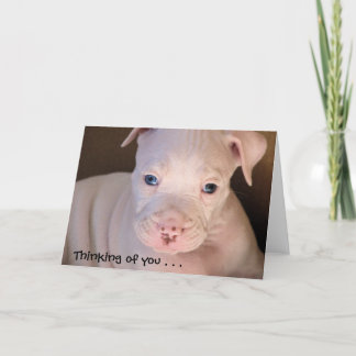 お考え前の.... カード