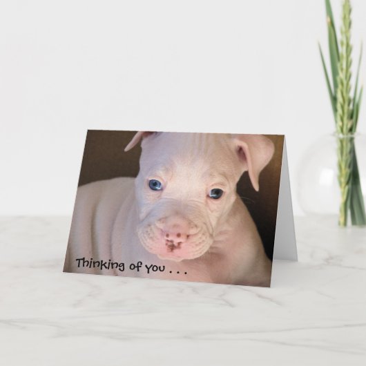 お考え前の.... カード (正面)