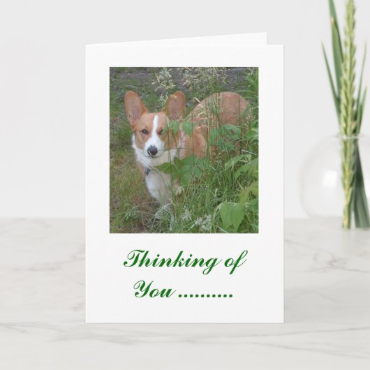 お考え前の… カード (正面)