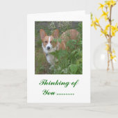 お考え前の… カード (黄色い花)