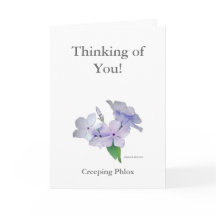 お考え前の！カード