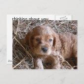 お考え前の… ポストカード (正面/裏面)