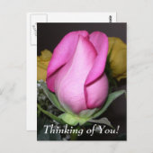 お考え前の!ポストカード ポストカード (正面/裏面)