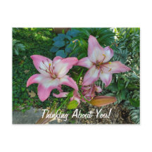 お考え前達のかわいらし事だ