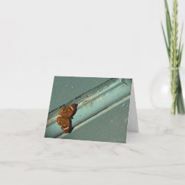 お考え客様/蝶との共感書 カード