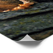 お腹の中でおいしい ポスター (角)