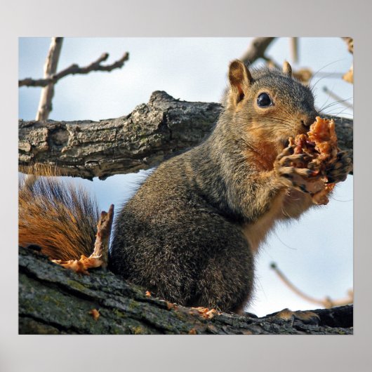 お腹の中でおいしい ポスター (正面)