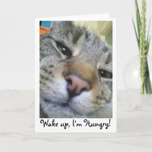 お腹をすかせたおもしろい猫あいさつ/誕生日カード カード