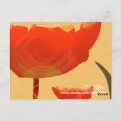 お花ありがとう ポストカード (裏面)