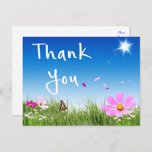 お花の感謝を伝えるデイジー蝶の野の花 ポストカード (正面/裏面)