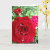 お茶のバラ空白の~個人設定 カード (黄色い花)