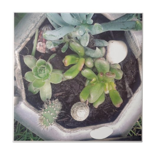 お茶の時間?お茶のポットを植えたポット タイル (正面)