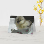 お茶わんの青いコチンのひよこ カード (黄色い花)